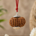 17 Mukhi Nepali Rudraksha - Satrah Mukhi