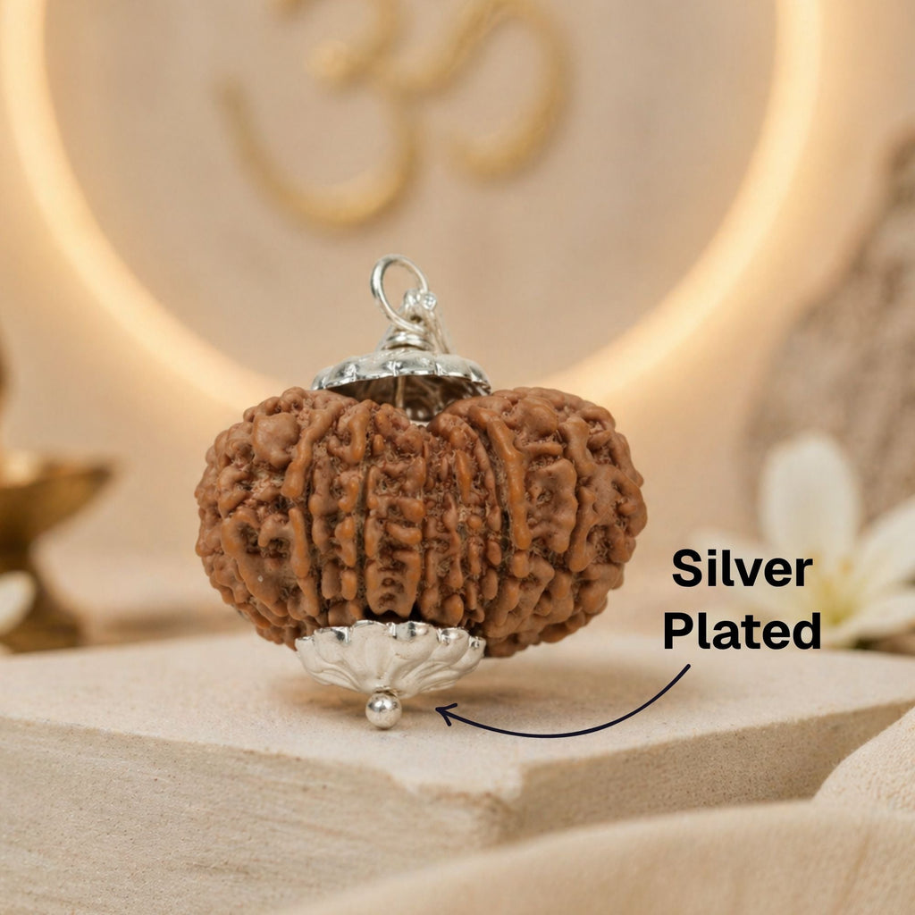 17 Mukhi Nepali Rudraksha - Satrah Mukhi