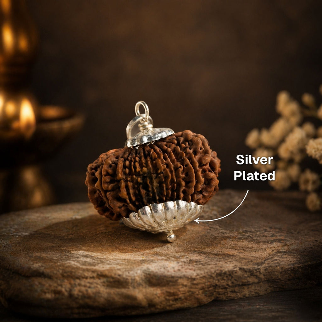 14 Mukhi Nepali Rudrkahsha - Chaudah Mukhi