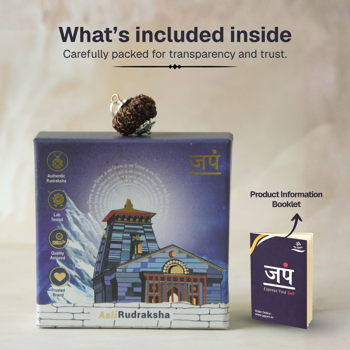 14 Mukhi Nepali Rudrkahsha - Chaudah Mukhi